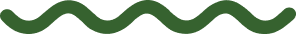 Vector (2)